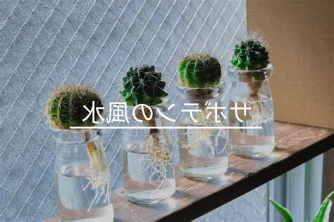 風水 場所
